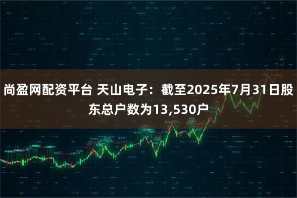 尚盈网配资平台 天山电子：截至2025年7月31日股东总户数为13,530户