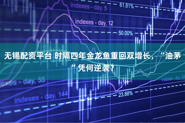 无锡配资平台 时隔四年金龙鱼重回双增长，“油茅”凭何逆袭？