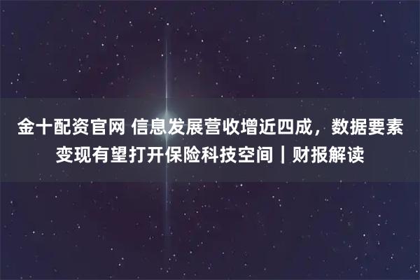 金十配资官网 信息发展营收增近四成，数据要素变现有望打开保险科技空间｜财报解读